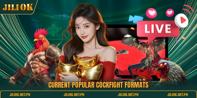 Current popular cockfight formats
